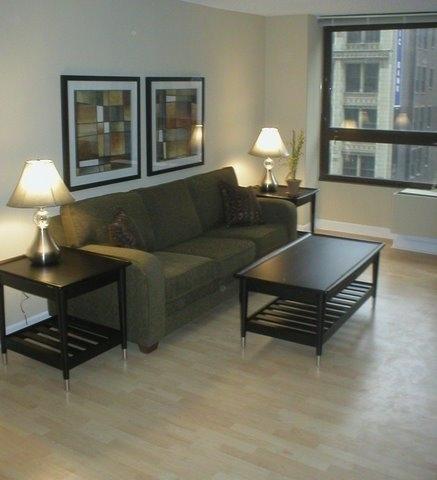 الشقق الفندقية شيكاغوفي  Oakwood At Millennium Park Plaza المظهر الخارجي الصورة
